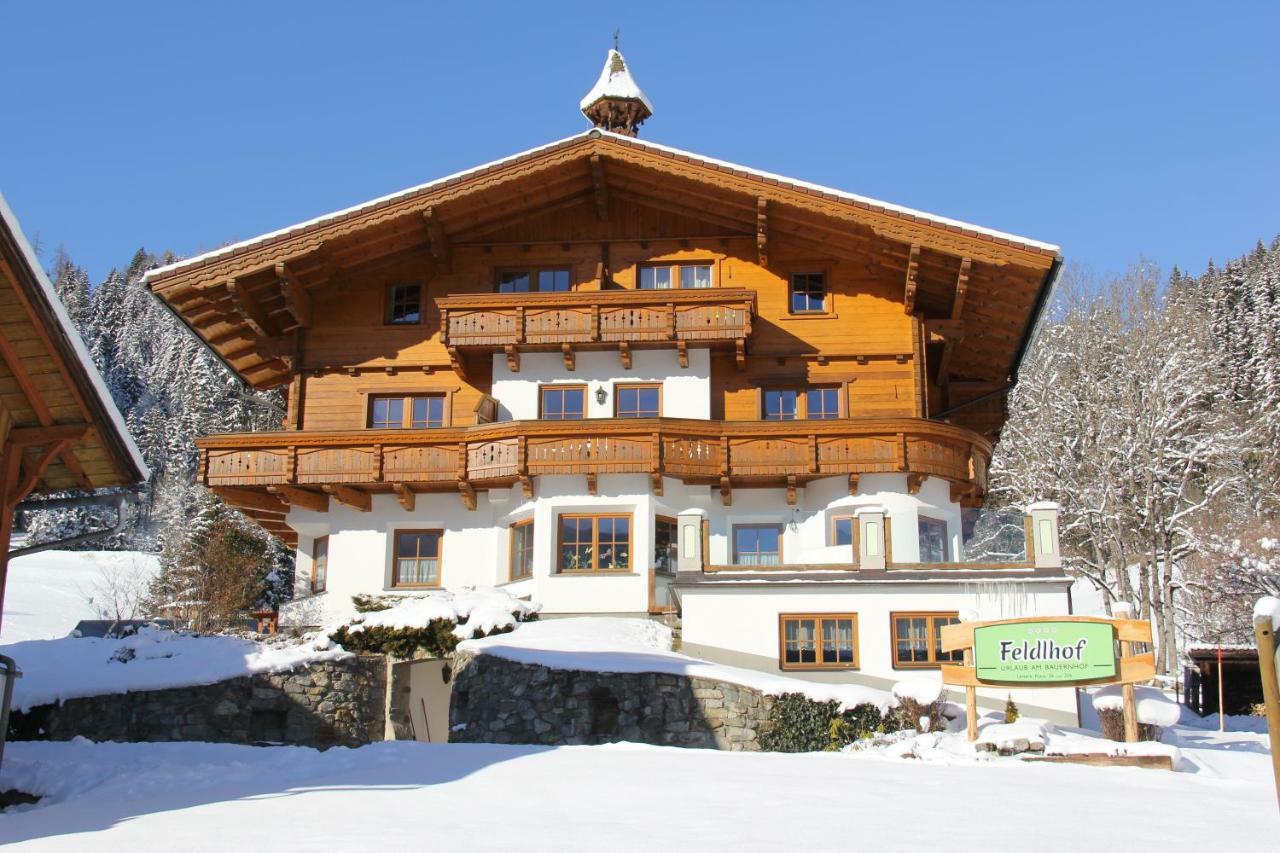 Feldlhof Villa Schladming Kültér fotó