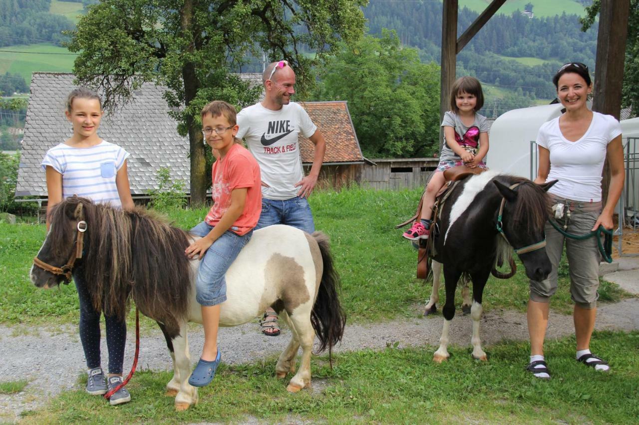 Feldlhof Villa Schladming Kültér fotó